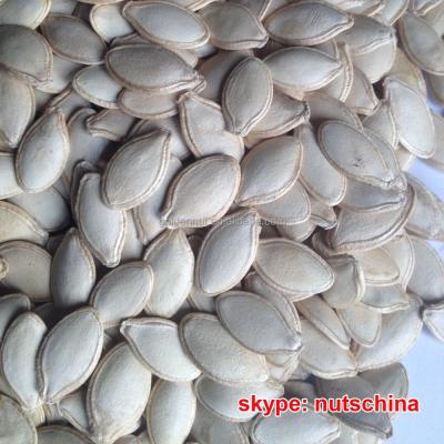 China Dry Shine Pumpkin Seeds10 mm 11mm 10 cm skin up 11 cm for sale