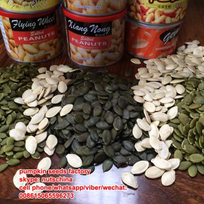 China Dry Dark Green Pumpkin Seeds Developed Without Shell (GWS) D.C.A. aa/A for sale