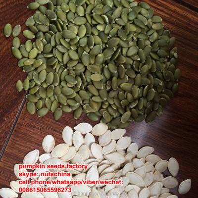 China Grown Dry Chinese Green Pumpkin Seeds Without Shell (GWS) D.C.A. aa/A for sale