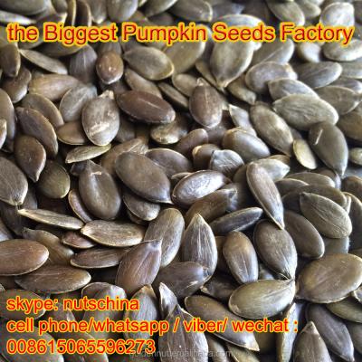 China D.C.A. aa/A Dry Pumpkin Seeds Developed Without Shell (GWS) for sale