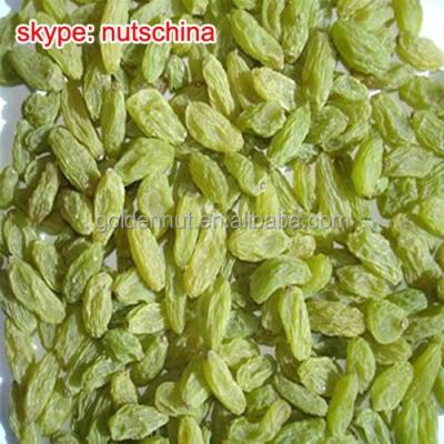 China Xinjiang Green Dried Raisins for sale