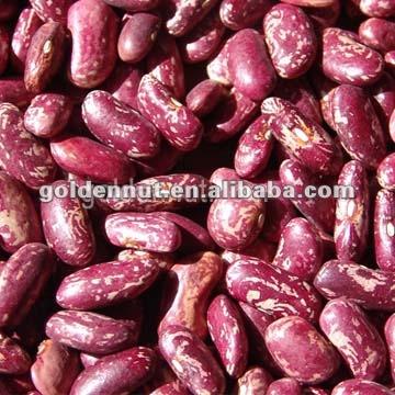 China Dried Purple Spotted Kidney Beans for sale