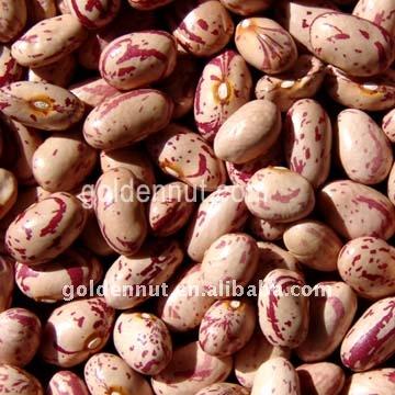 China Dry Light Spotted Kidney Beans (Round Type) for sale