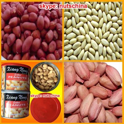 China Dried Chinese Blanched Peanuts 25/29 (VIRGINIA TYPE) for sale