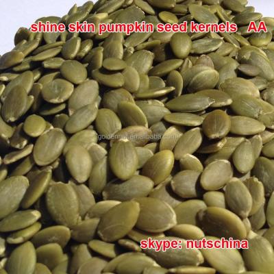 China Fresh Shine Skin Pumpkin Seed Kernels for sale