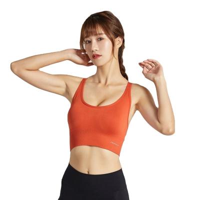 China High Quality Breathable Quick Dry Exercise Cropped Tank Top Sports Yoga Bra for sale