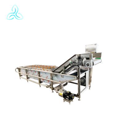 China Fruit Processing Equipments Vegetable Fruit and Leafy Vegetable Fruit Processing Plant Washing Line for sale