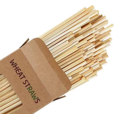 China Contemporary Tableware Disposable Straw Health And Safety Drinks Straws Biodegradable Eco Friendly Material Wheat Straws for sale