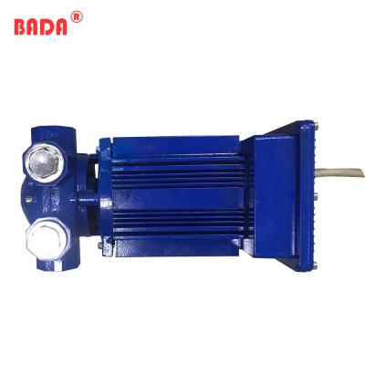 China FUEL TRANSFER 220V Explosion Proof Fuel Transfer Fuel Pump for sale