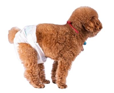 China Lightweight Leak Proof Stocked Disposable Cloth Material Microfiber Female Male Dog Diapers for sale