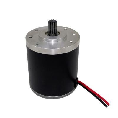 China Totally Enclosed Shenzhen 49mm Permanent Magnet DC Motor 20W 30W 40W Brushed DC Motor for sale