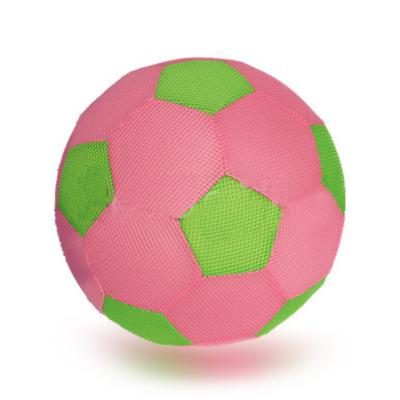 China Sports Toys 6