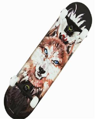 China High Quality Hard Wheels Skateboard Youth Freestyle Skateboard Deck High Quality Hard Wheels Skateboard for sale