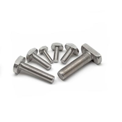 China Stainless Steel Hardware Fasteners 304 Stainless Steel T Head Bolt for sale