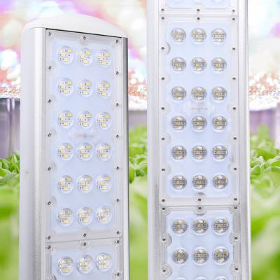 China VEG+BLOOM+COB Led Grow Light Bulb Full Spectrum Timer Warm White Led Bars For Plants Phyto Lamp Phytolamp Grow Tent With Power Adapter for sale