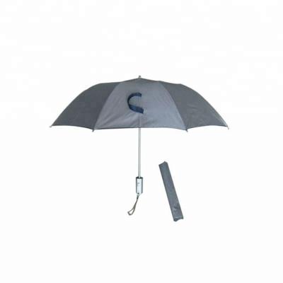 China Contemporary 2 Fold Umbrella Promotion Automatic Open Umbrella for sale