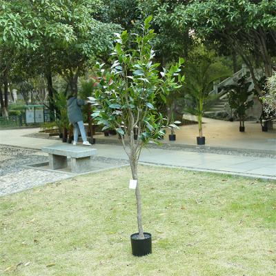 China Fashional Touch Wholesale Real Artificial Green Tree Plastic Artificial Tree For Decoration for sale