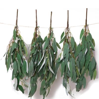 China Fashional 20 High Quality Home Decor Fruit 56 Green Eucalyptus Leaves Wall Hanging Artificial Eucalyptus Branch for sale