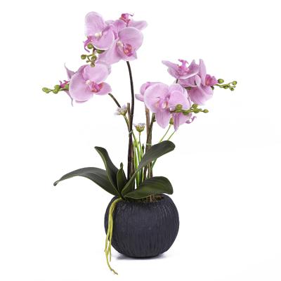 China Fashional Home& Indoor Decoration , Artificial Phalaenopsis Orchid Set Real Touch Flowers for sale