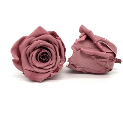 China Valentine's Day Gift Carina Preserved Flowers Eternal Preserved Roses Head 4-5cm Real Rose for sale