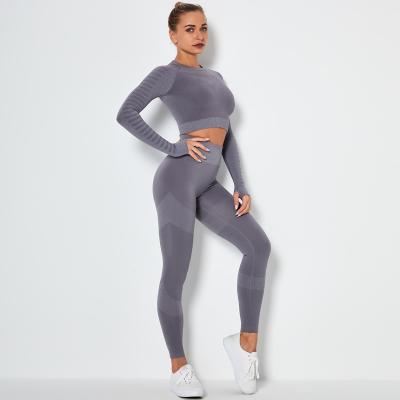 China Breathable Seamless Knitting Yoga Sets Butt Lifting Gaiters And Girdles Long Slimming Tops Women Fashion Gym New Two Piece Sets Wholesale for sale