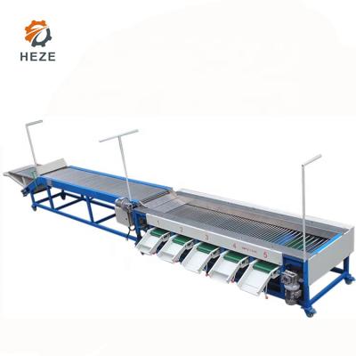 China Fruit Use Weight Grading Machine Apple Size Sorting Machine Price for sale