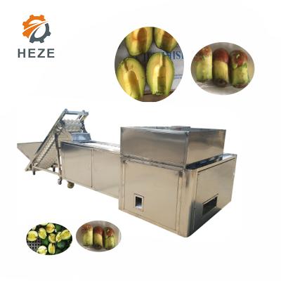 China Avocado Seed Pitting Machine /avocado Core Removing Machine /avocado Kernel Remove Machine for sale