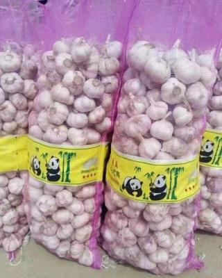 China Frischer Zwiebel-Knoblauch-verpackende Nettotaschen für Frucht u. Gemüse zu verkaufen