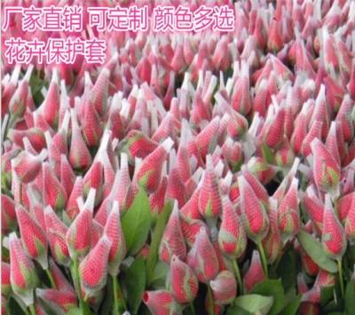 Cina Il PE bianco d'imballaggio delle maniche della maglia ha espulso rete del germoglio della protezione di Rosa in vendita