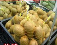 China Kiwi Fruit Mesh Netting Bags PE Material 80 Mesh UV Resistance 5-8 Years Lifespan for sale