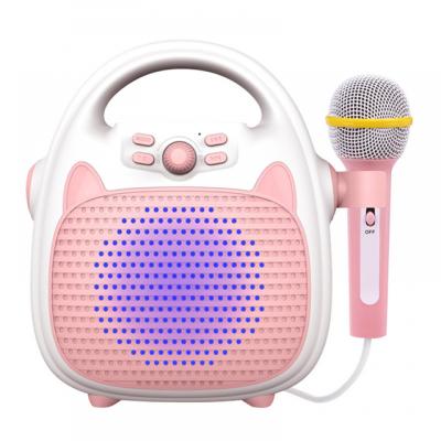 China Music Handheld Function Microphone Funny Karaoke Battery Pretend Karaoke Portable Toy Amusement Promotional Gift Microphone for sale