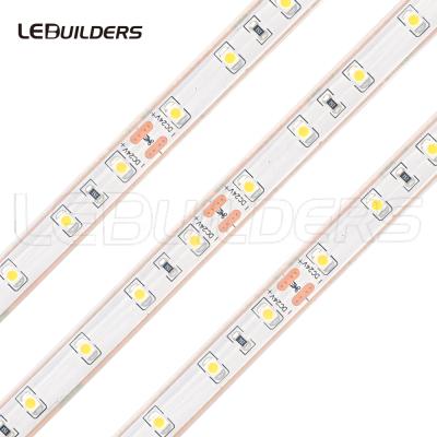 China 5M 300leds Decorative Lighting Waterproof Underwater Strip Light 3528 SMD IP68 LED Strip for sale