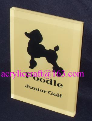 China Custom made branding advertising solid acrylic block wholesale for sale