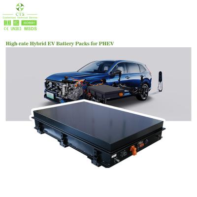 China High Voltage Lifeo4 Battery Pack 40kwh 336V 13kwh 50kwh Lithium Battery EV Battery Pack for sale