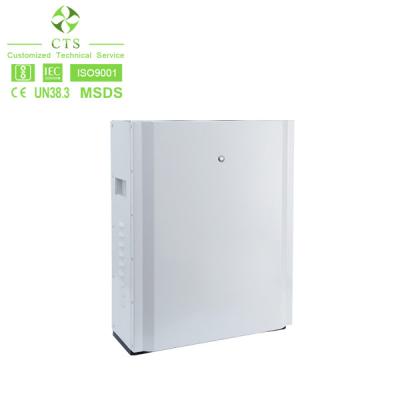 China LiFePO4 48V 100Ah Tesla pared de poder del almacenamiento de la batería del panel solar de la rejilla 5kWh en venta