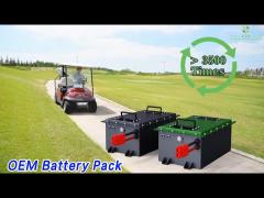 48V OEM Battery Pack Lifepo4 Grade A Fast Charging Small For Golf Cart