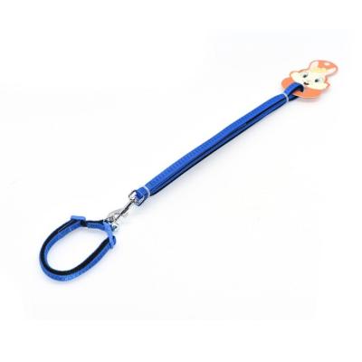 China Popular High Quality Viable Pet Leash Products Nylon Rope For Dog Dog High Quality Leash Size for sale