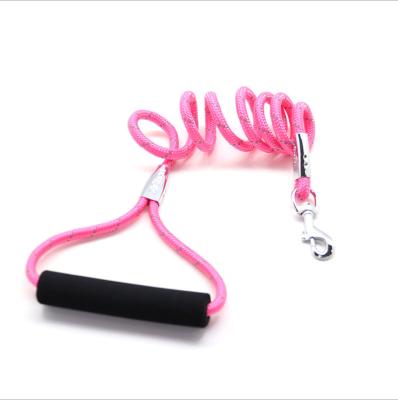 China Dog Cat Pet Leash Outdoor Sport Viable High Quality Nylon Reflective Leash for sale