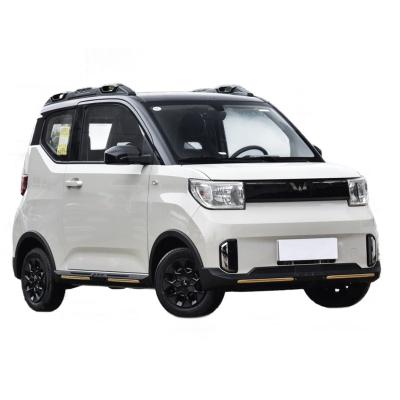 China Fabric Passenger Electric Vehicle Electric Universal Cargo Van Mini Electric Car For Sale Made In China for sale