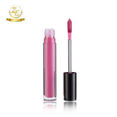 China Private Label High Pigments Permanent Lip Gloss Lips Makeup for sale