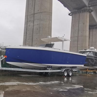 China Fiberglass Double Hull 28ft Fiberglass Yacht With Separate Toilet For Diving for sale