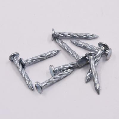 China Plastic Iron Box Packing For DIY Shop Flat Head Twist Leg Zinc Galvanized Outdoor Steel Spiral Spike Nails for sale