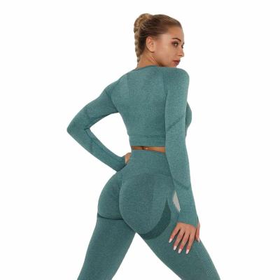 China 2021 OTHER Hot Selling Seamless Women's 2 Piece Yoga Set Suit for sale