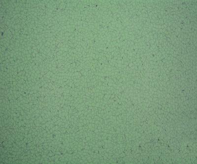 China Water Proof 3mm Anti Static Conductive Anti Slip Vinyl Flooring Tiles OEM Available for sale