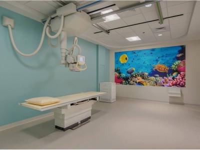 China Healthcare Flex Vinyl Flooring For Medical Environment for sale