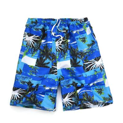 China Anti-wrinkle Custom Printed Men's Polyester Swim Trucks OEM/ODM China Factory Quick Dry Swimming Shorts for sale