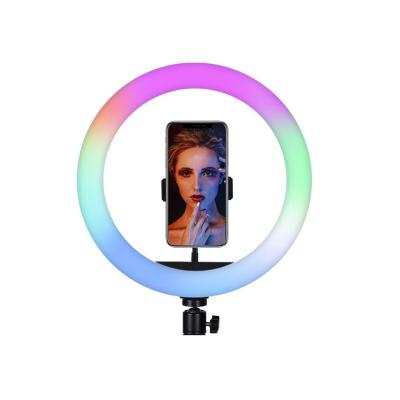 China Hot Selling Adjustable Multi Color Christmas Gift 8 Inch Dimmable RGB Ring Light for sale