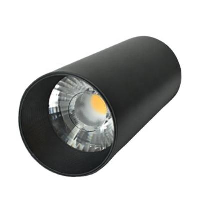 China Modern High Efficiency Safety Environmental Protection 7w 10W 15W 20W 30W Energy Saving COB Led Tracking Light for sale