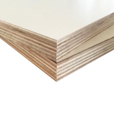 China best quality modern raw plywood okume pine plywood bintangor commercial plywood for sale