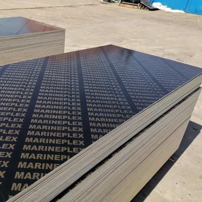 China Marine Plywood Plywood / Modern 15mm film faced plywood construction with good price for sale